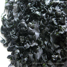 China atacado Kosher seco fresco algas wakame corte